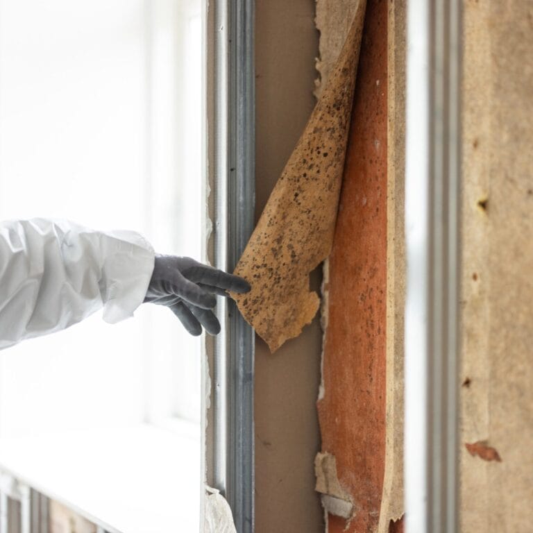 Person fjerner mugne vægpaneler under renovering